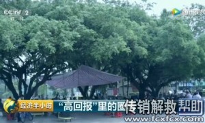 [视频] 央视《经济半小时》曝光AGR传销骗局内幕