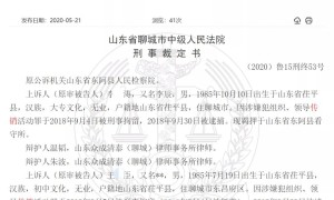 东阿修元集团福井公司涉嫌传销二审宣判：主犯被判7年并罚款100万元